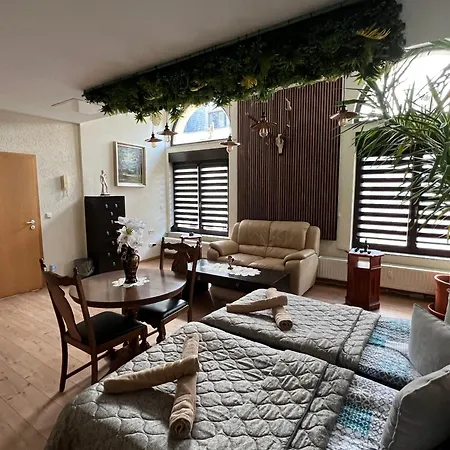 Louis Hirsch Apartmán Gera