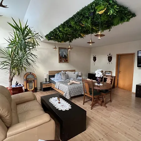 Louis Hirsch Apartmán Gera