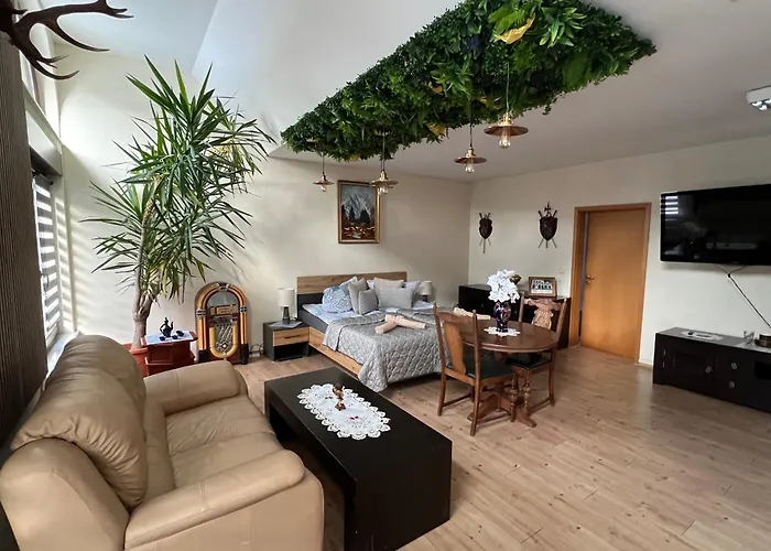 Louis Hirsch Apartman Gera